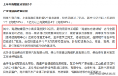 项目将以“公理人+贸易”模式付与区域新活力